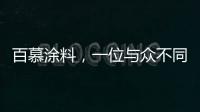 快排公司十年历程，霸屏兔 seo 的崛起与坚守
