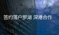 快排公司十年历程，霸屏兔 seo 的崛起与坚守