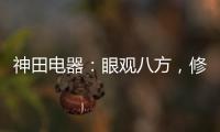 快排公司十年历程，霸屏兔 seo 的崛起与坚守