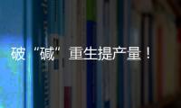 破“碱”重生提产量	！ 珠海盐碱地变“丰产田”