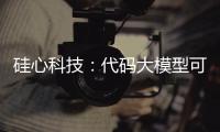 硅心科技：代码大模型可使国有银行开发效率提升30%