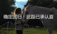 确定回归！武磊已承认夏窗回归上海海港队