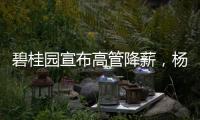 碧桂园宣布高管降薪，杨惠妍莫斌调整后年薪12万元