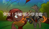 突发！94岁杨少华去世：中午35度高温参加商业活动�，下午突然离世
