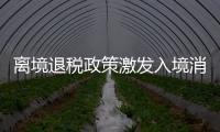 快排公司十年历程，霸屏兔 seo 的崛起与坚守