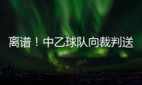 离谱
！中乙球队向裁判送礼品遭举报+被罚款10万 球迷：送的挂历吧