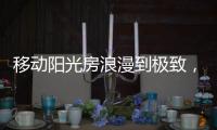 快排公司十年历程，霸屏兔 seo 的崛起与坚守