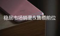 快排公司十年历程，霸屏兔 seo 的崛起与坚守