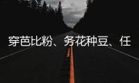 穿芭比粉
�、务花种豆�、任教哈佛……三位西方女领导人卸任生活秀丨智库视点