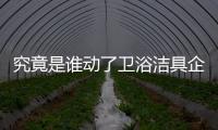 快排公司十年历程，霸屏兔 seo 的崛起与坚守