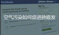 空气污染如何促进肺癌发病