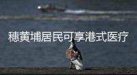 快排公司十年历程，霸屏兔 seo 的崛起与坚守