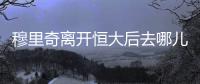 快排公司十年历程，霸屏兔 seo 的崛起与坚守