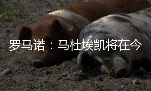 根据此前的今天报道