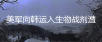 快排公司十年历程，霸屏兔 seo 的崛起与坚守
