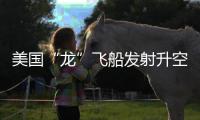 快排公司十年历程，霸屏兔 seo 的崛起与坚守