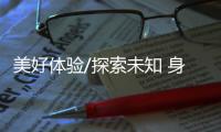 快排公司十年历程，霸屏兔 seo 的崛起与坚守