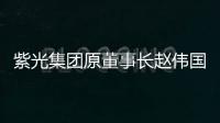 紫光集团原董事长赵伟国贪污
、为亲友非法牟利	、背信损害上市公司利益案一审开庭