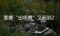 快排公司十年历程，霸屏兔 seo 的崛起与坚守
