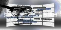 类案入库：可作参考理由�
，不作裁判依据