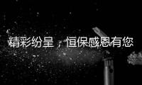 快排公司十年历程，霸屏兔 seo 的崛起与坚守