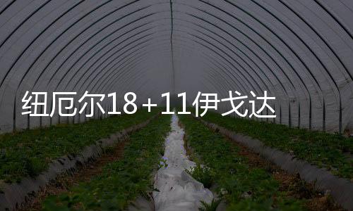 纽厄科林斯12分4篮板4助攻