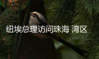 快排公司十年历程，霸屏兔 seo 的崛起与坚守