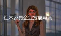 快排公司十年历程，霸屏兔 seo 的崛起与坚守