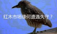 快排公司十年历程，霸屏兔 seo 的崛起与坚守
