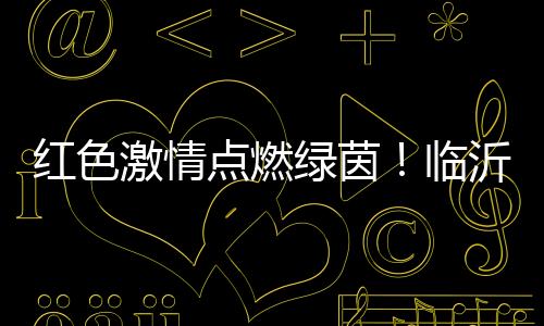 激情届红临沂城建集团协办