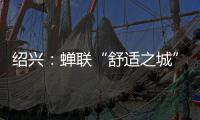 快排公司十年历程，霸屏兔 seo 的崛起与坚守