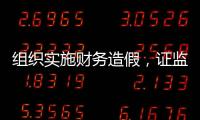 组织实施财务造假，证监会拟对许家印采取终身证券市场禁入措施