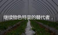 快排公司十年历程，霸屏兔 seo 的崛起与坚守