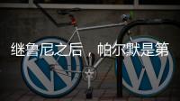 快排公司十年历程，霸屏兔 seo 的崛起与坚守