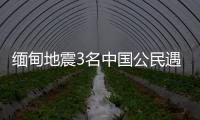 快排公司十年历程，霸屏兔 seo 的崛起与坚守