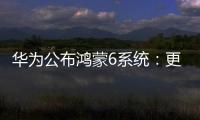 华为公布鸿蒙6系统
：更开放
、更流畅、更智能