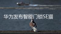 华为发布智能门锁SE猫眼版，不仅“便捷”还要“安全”
