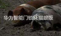 华为智能门锁SE猫眼版21日正式发售，带你告别“忘带钥匙”焦虑