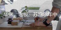 华帝、老板、苏泊尔年中业绩飘红 谁能抢到厨电市场千亿蛋糕?