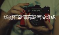 快排公司十年历程，霸屏兔 seo 的崛起与坚守