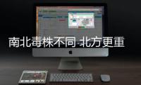 快排公司十年历程，霸屏兔 seo 的崛起与坚守