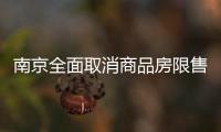南京全面取消商品房限售，推出公积金“全家桶”政策