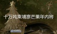 十万吨柬埔寨芒果年内将进入中国市场 中方
：体现中柬亲如兄弟的友谊