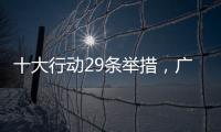 十大行动29条举措，广东助力高校毕业生就业创业
