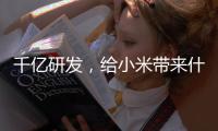 快排公司十年历程，霸屏兔 seo 的崛起与坚守