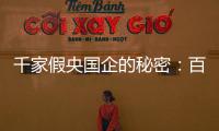 千家假央国企的秘密�：百万买身份�，假央企变身集团公司