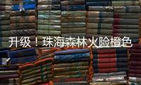 快排公司十年历程，霸屏兔 seo 的崛起与坚守
