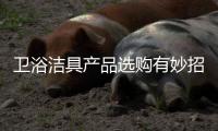 快排公司十年历程，霸屏兔 seo 的崛起与坚守