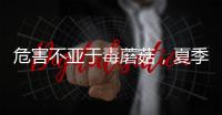 危害不亚于毒蘑菇，夏季吃海鲜小心贝类中毒