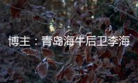 快排公司十年历程，霸屏兔 seo 的崛起与坚守